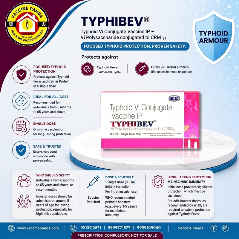Typhi Bev