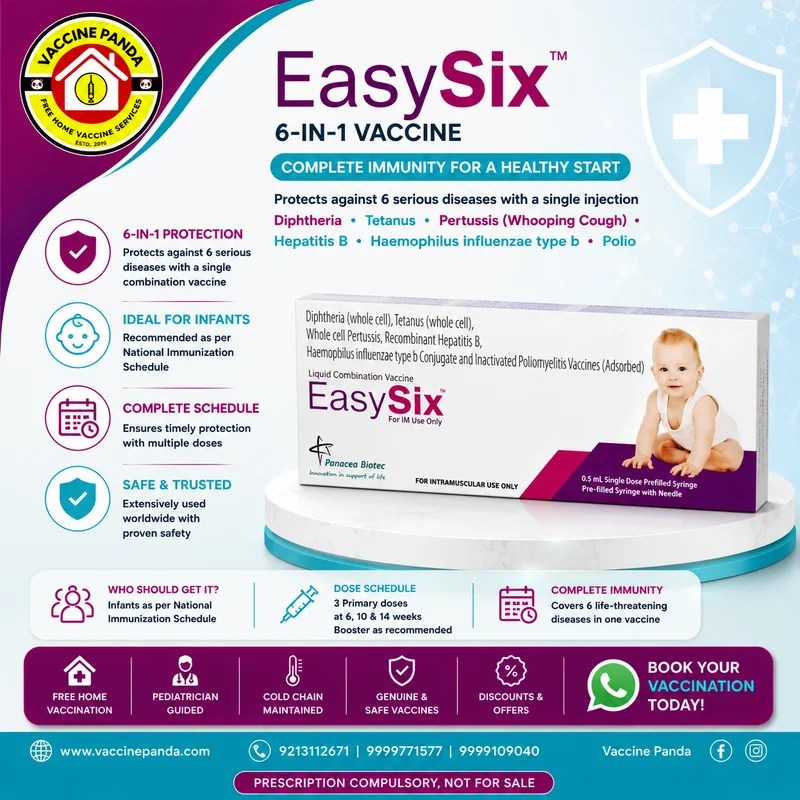 EASY SIX